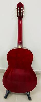 HG39-101RB Klasik Gitar - 2