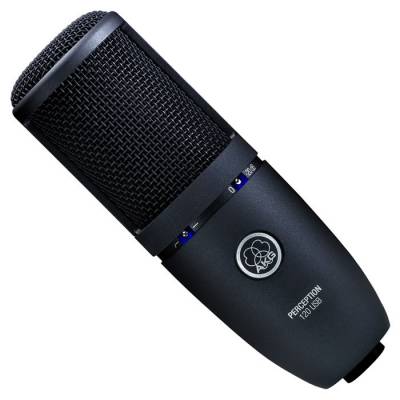 Perception 120 USB Home Stüdyo Kayıt Mikrofonu - 2