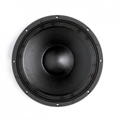 12-NW 76 Mid Bass Çıplak Hoparlör - 1