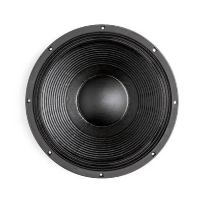 15-NW 100 Çıplak Subbass Kabin Hoparlör - 1