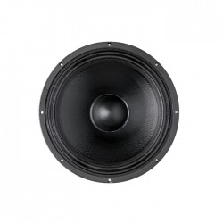 18PZB100 Çıplak Subbass Kabin Hoparlör - 1