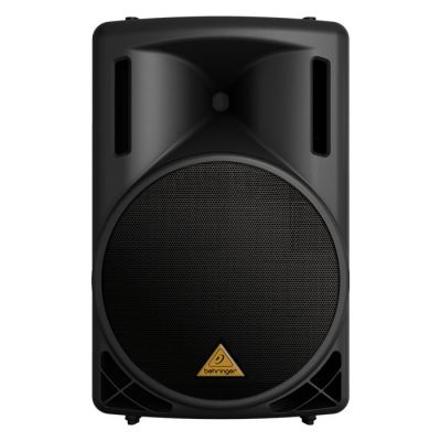 Eurolive B215XL 1000 Watt 2 Yollu Pasif Hoparlör (Siyah) - 1
