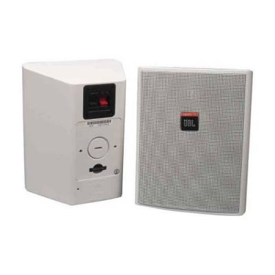 Control 25AV / 25AVWH 100 Watt 5,25 inç 100V Duvar Tipi Kabin - 1