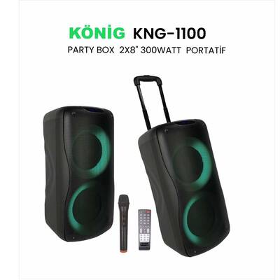 KNG-1100 2X 8'' 300W PARTİY BOX - 1