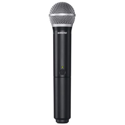BLX288E/PG58 Kablosuz PG58 El Mikrofonu Sistemi - 2