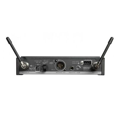 SLX24E/SM58 El Tipi Kablosuz Mikrofon Sistemi - 3